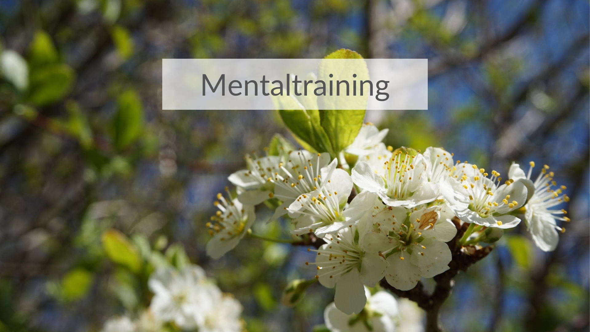 Mentaltraining